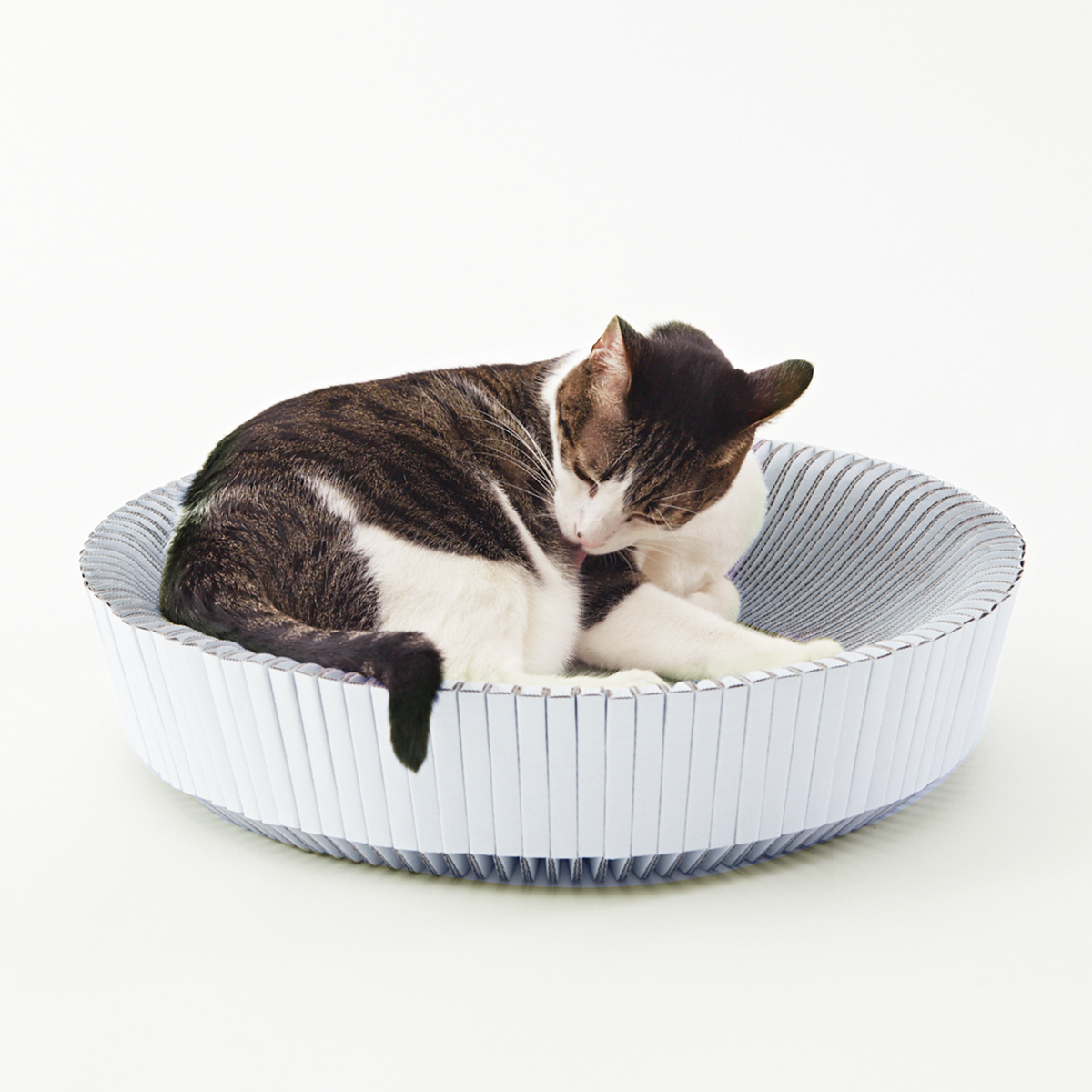 The Multi-Functional Cat Lounge - KATRIS