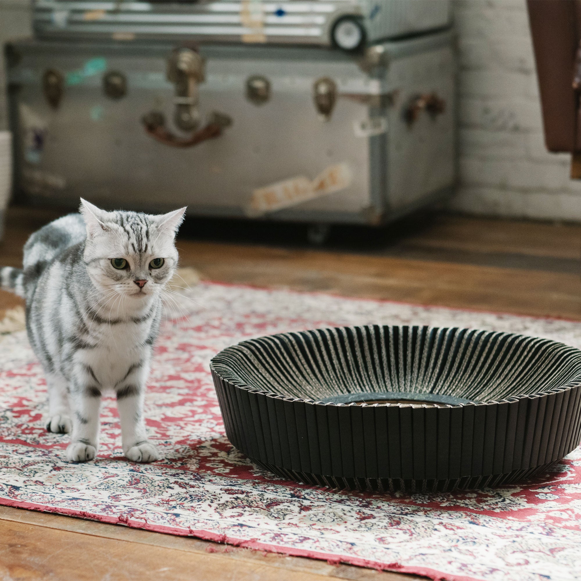 KATRIS - Modern Cat Products for Your Cats and Yourself