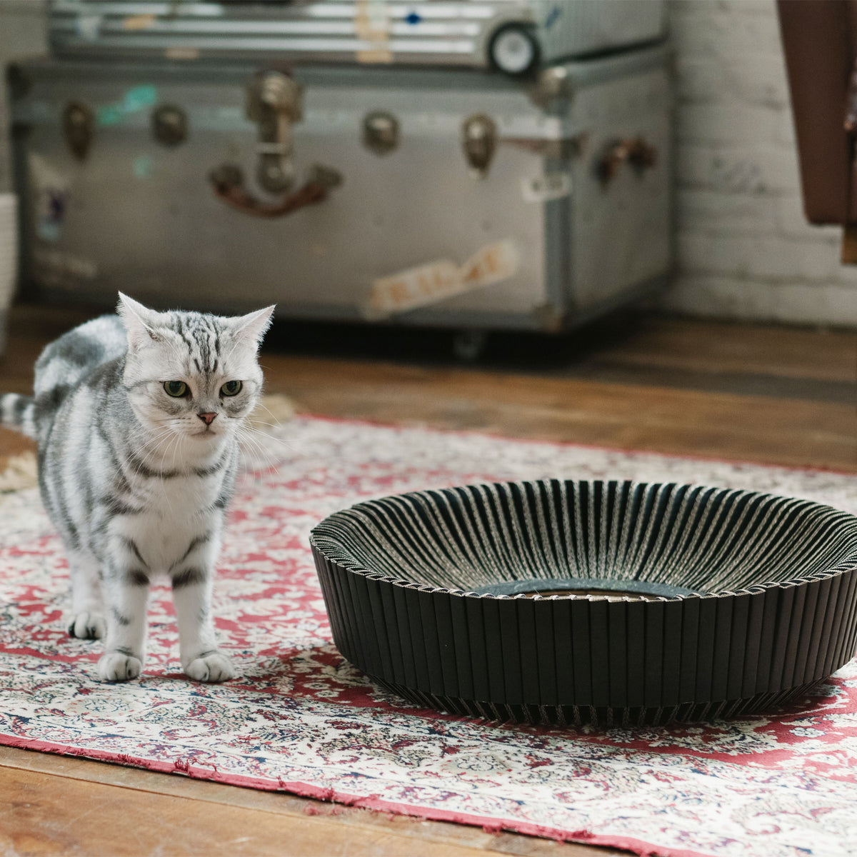 The Multi-Functional Cat Lounge - KATRIS