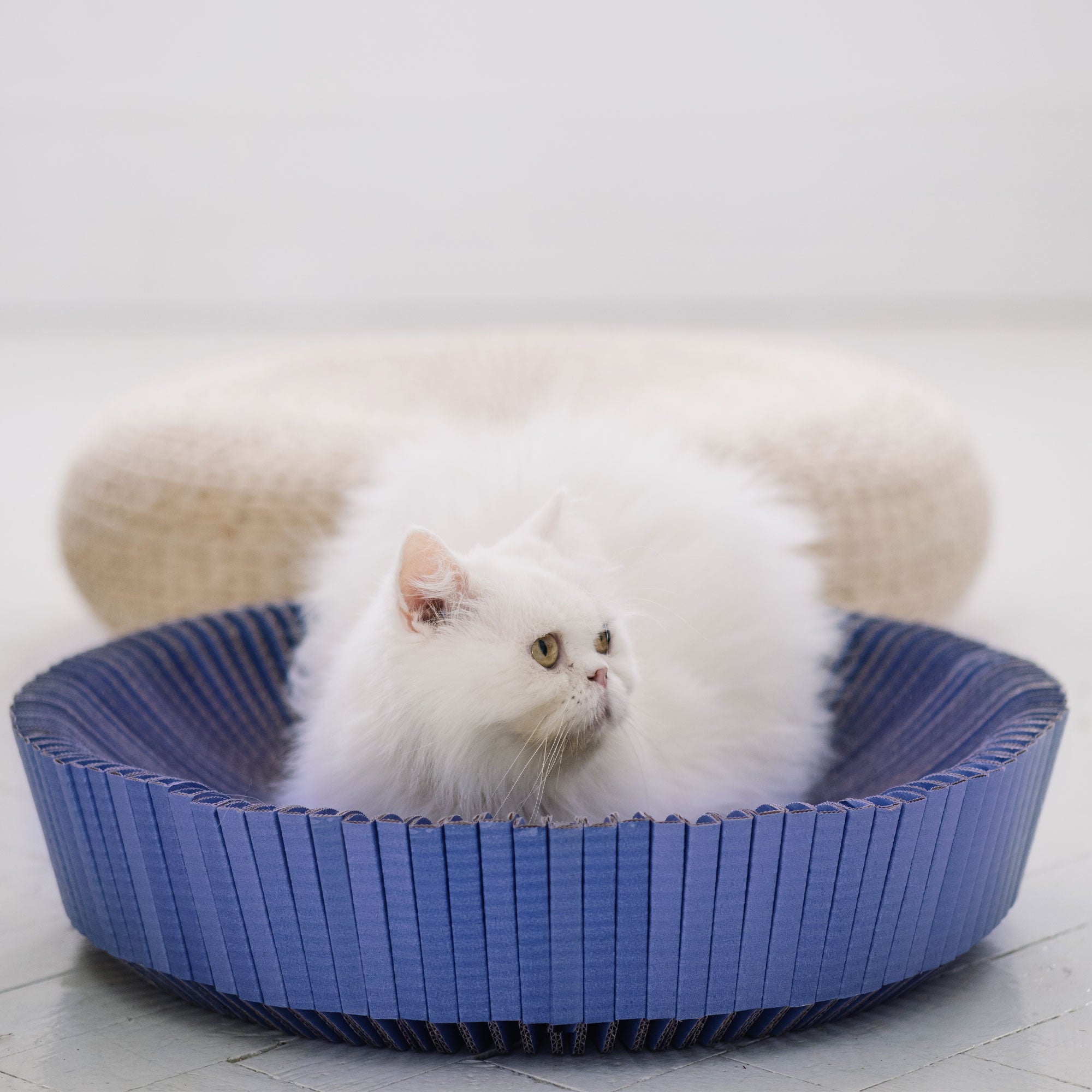KATRIS - Modern Cat Products for Your Cats and Yourself