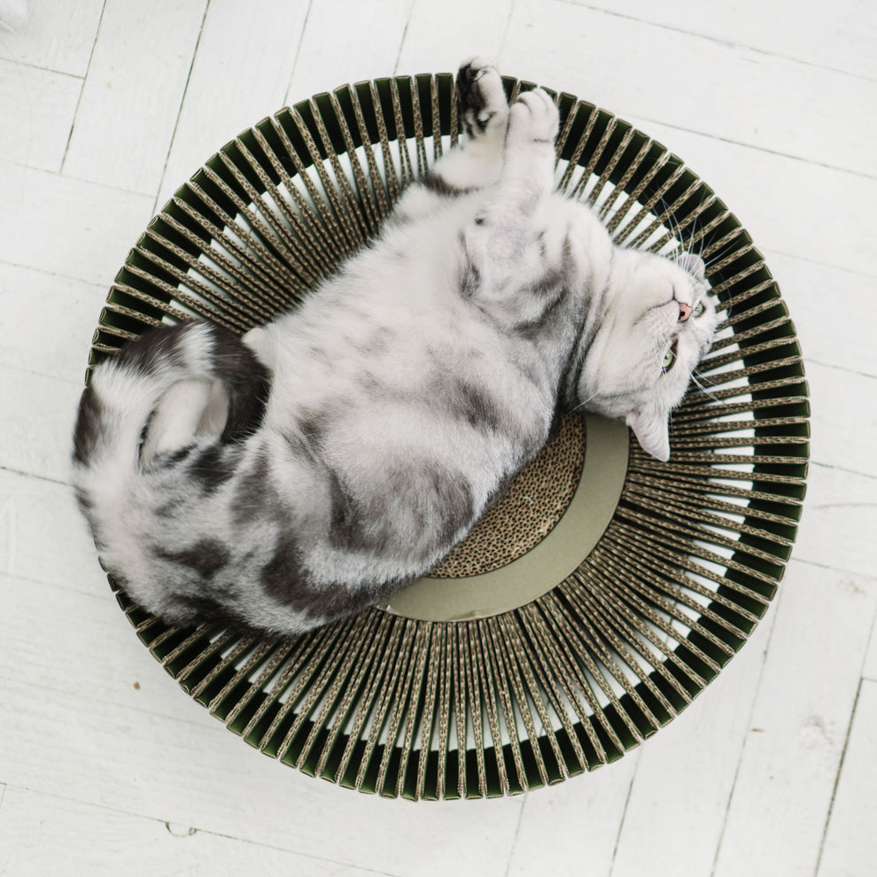 The Multi-Functional Cat Lounge - KATRIS