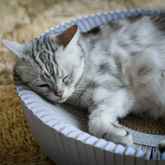 KATRIS - Modern Cat Products for Your Cats and Yourself